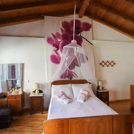 Apartamento Almina Apartment