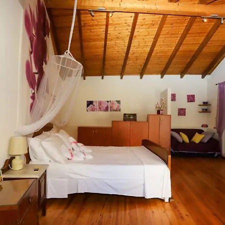 Lejlighed Almina Apartment *